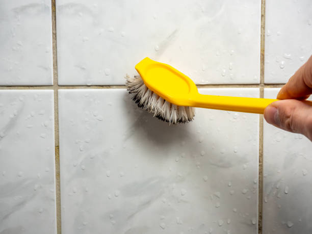 Best Black Mold Removal  in Greenville, GA