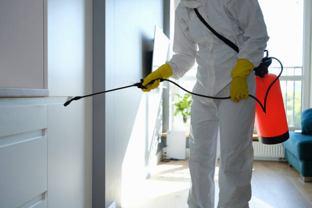 Best Mold Inspection  in Greenville, GA