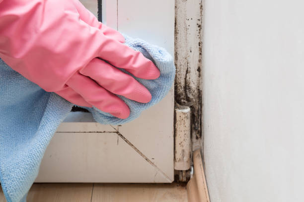 Best Mold Testing  in Greenville, GA